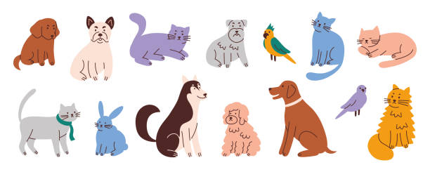 zestaw ilustracji wektorowych słodkich zwierzaków, kolekcja kotów, psów, papug. zwierzęta domowe, ikona królika. uroczy husky, buldog, sznaucer, doberman, kot syberyjski. płaski styl kreskówek do pielęgnacji zwierząt domowych - zwierzę obrazy stock illustrations