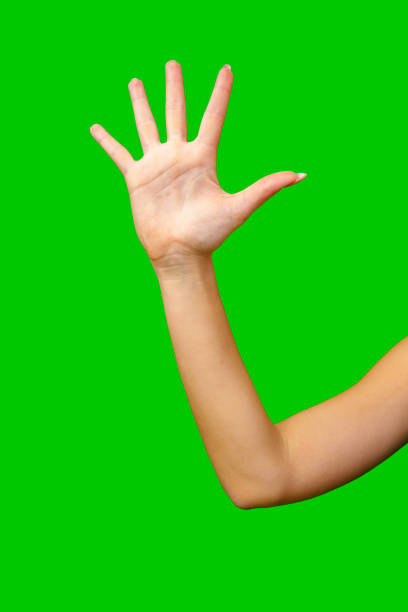 istock Woman Holding Out Hand on Green Screen 2161283298