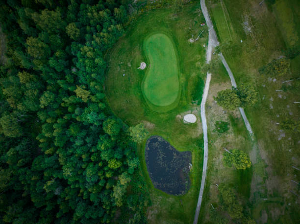 istock Aerial view of lush golf course in summer 2161283908