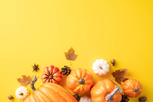 istock Autumn pumpkins and leaves on yellow background 2161286575