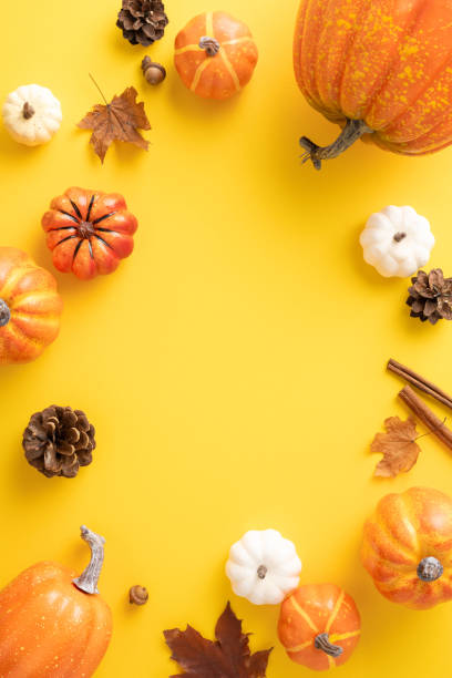 istock Seasonal autumn background featuring small pumpkins, fall leaves, and pinecones arranged on a vibrant vertical yellow backdrop 2161286590