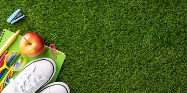 istock Back to school items including sneakers, apple, and stationery scattered on green grass background 2161286619