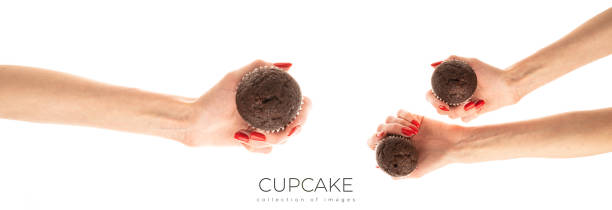 Female hand holds a brown chocolate cupcake isolated on white background