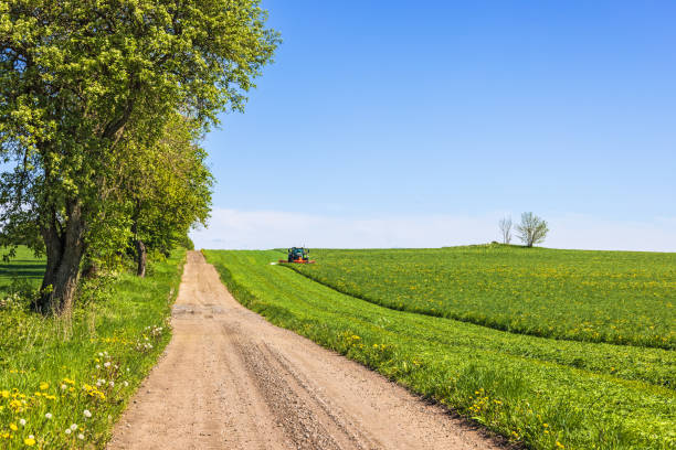 istock Tractor harvesting grass on the field by a dirt road 2161287819