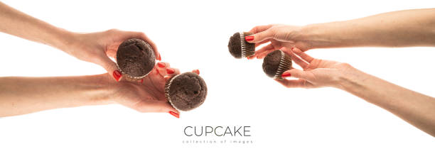 Female hand holds a brown chocolate cupcake isolated on white background