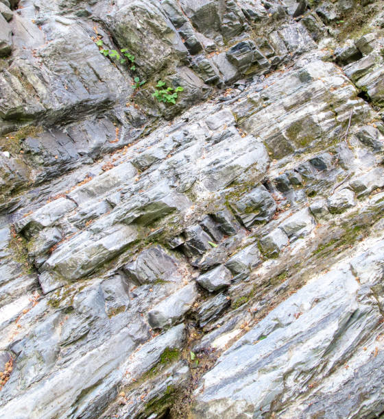 istock Layers of rock as an abstract background. Texture 2161289506