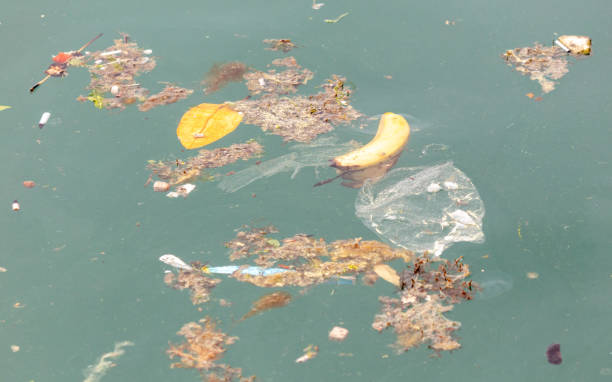 istock Garbage floats on the water in the sea 2161289674