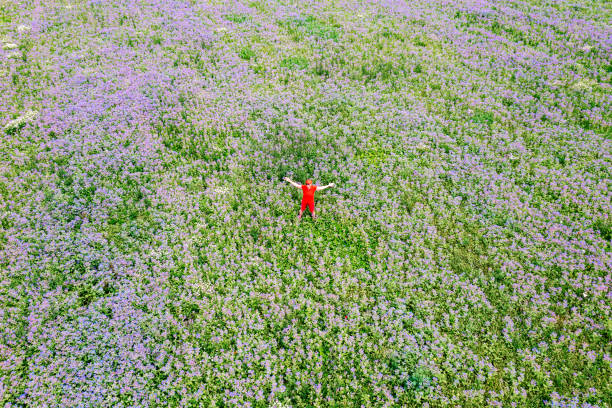 istock Woman outstretching arms in a meadow 2161298904