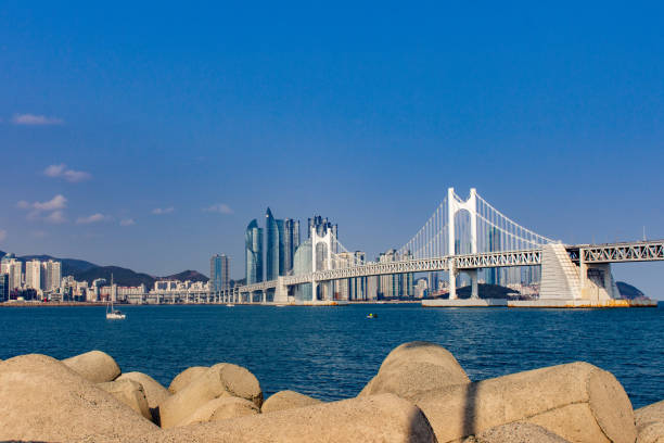 istock gwangalli bridge in busan south korea 2161308646