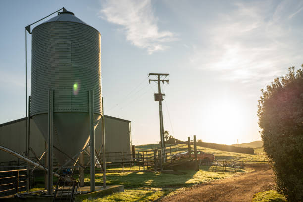 A charming white barn and towering silo bathed in the warm hues of a summer sunset, set against the backdrop of a lush Illinois wildflower field. This picturesque countryside scene captures the essence of rural life.