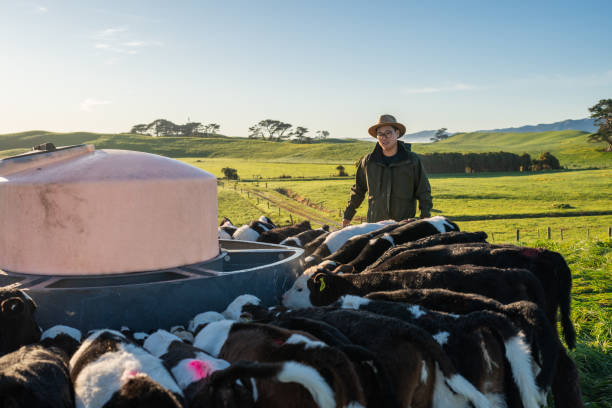 istock Young Kiwi Asian Farmer 2161309174