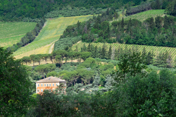 istock Landscape of the Emilia-Romagna 2161310284