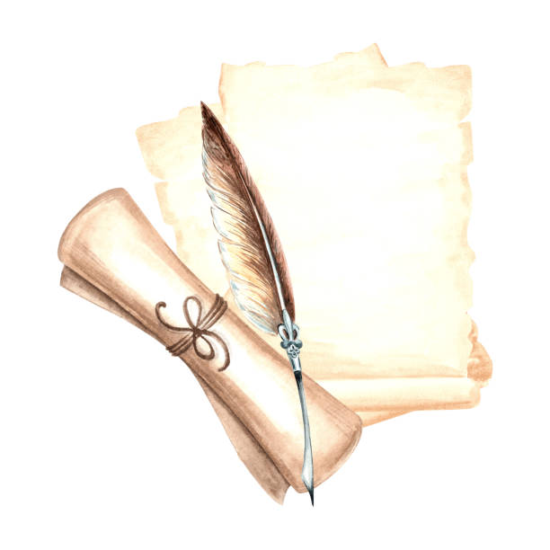 Feather pen with parchment sheets and scroll. Composition with vintage writing utensils. Hand drawn watercolor illustration isolated. Knowledge for all. Education concept. Template for sticker, print. Feather pen with parchment sheets and scroll. Composition with vintage writing utensils. Hand drawn watercolor illustration isolated. Knowledge for all. Education concept. Template for sticker, print clip art of scroll quill stock illustrations