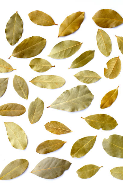 istock Dried bay leaves on white background. 2161315813
