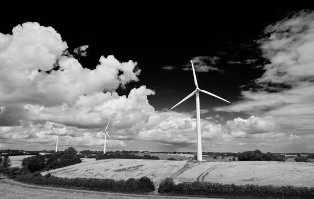Power generating wind turbines in the countryside in the evening
