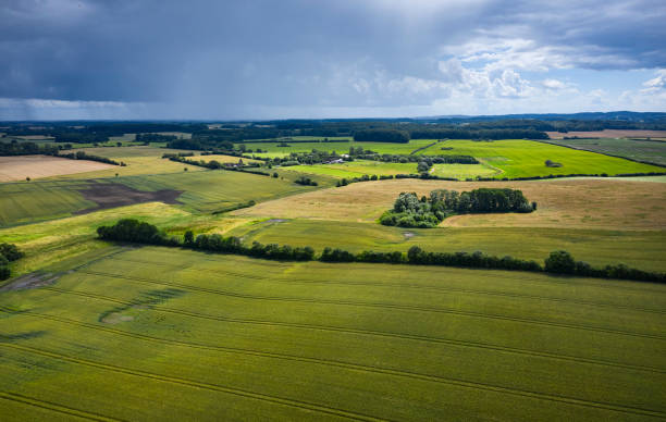 istock Aerial view of cereal field 2161316701