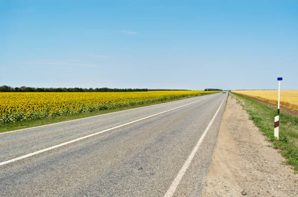 istock country road in the field 2161317575