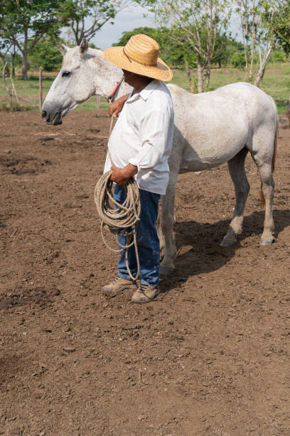 Farmer holding a rope standing beside a white horse in a rural field.