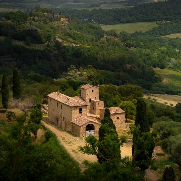 Vineyards in Tuscany, Chianti