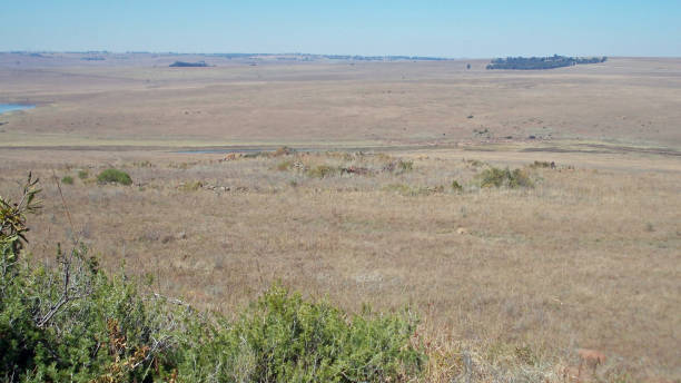 istock Ancient stone circles at eye level in  Souith Africa 2161322259