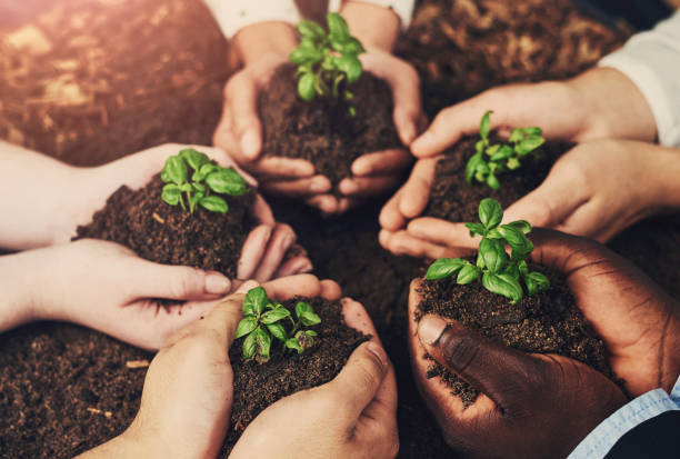 istock Hands, plants and group with growth, teamwork and sustainable business support for eco friendly project. People in circle with palm, soil and sprout for future investment, prosperity and earth day 2161322813
