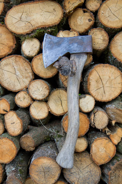 istock Woodpile of tree trunks and an axe 2161326655