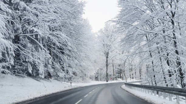 istock Trees with snow on spruce branches in winter forest. 2161331130