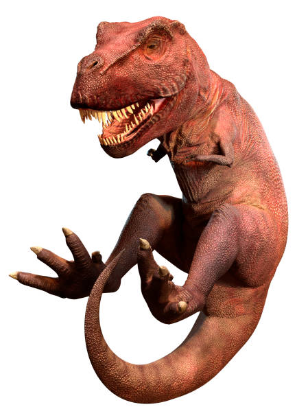 Trex on white.