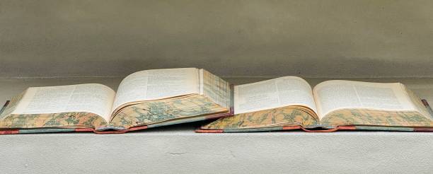 istock Old books from 1884, lying open in a shelf 2161333134