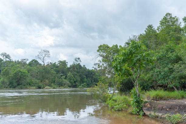 istock Serene Forest River and Lake Landscape in Summer 2161335647