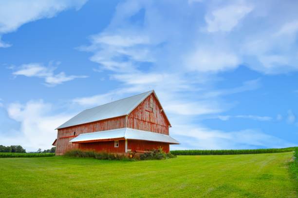 istock Old Red Barn with cornfield in the background-Tipton County, Indiana 2161337901