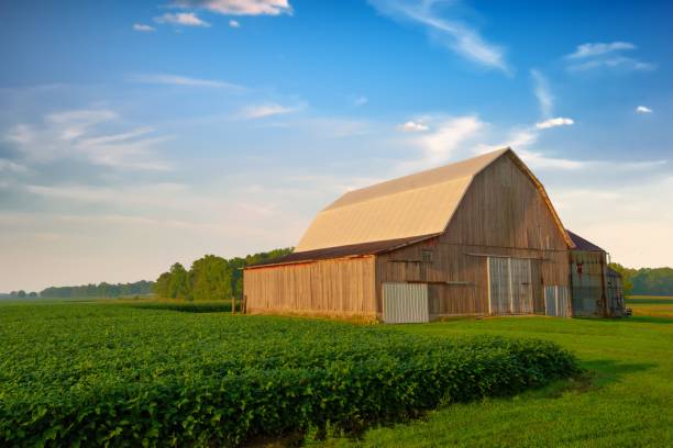 istock Old Weathered Barn-Howard County,Indiana 2161337914