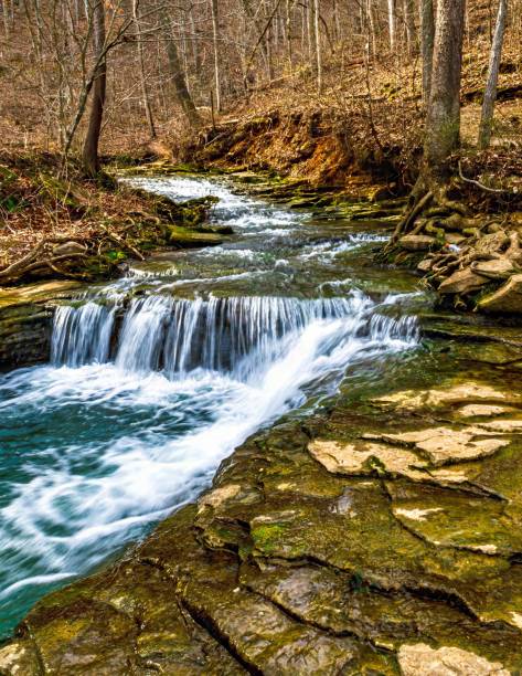 istock Serene forest stream cascading over rocks creating a small waterfall surrounded by bare trees 2161342680