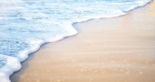 Soft wave of sea on sandy beach