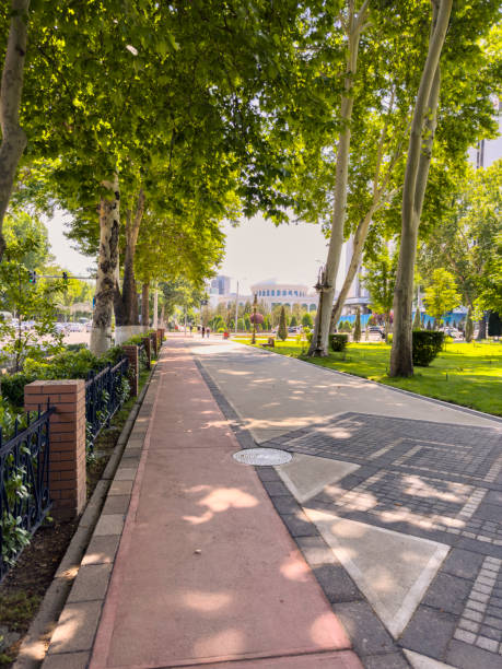 istock Alisher Navoy Street in Tashkent 2161345036