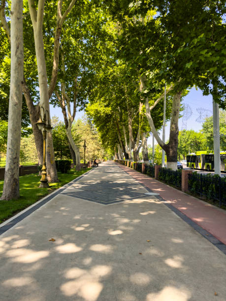 istock Alisher Navoy Street in Tashkent 2161345131