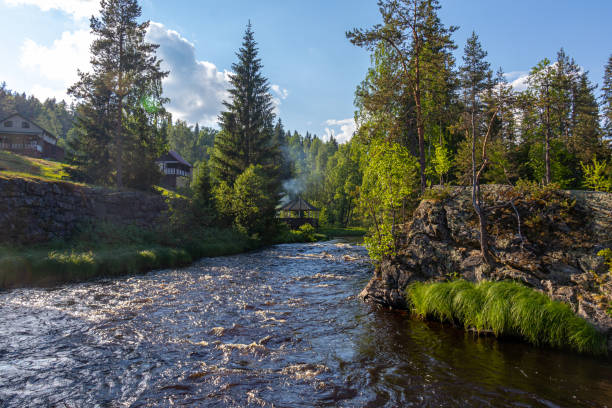 istock Vegetation of Karelia, stormy rivers 2161348231