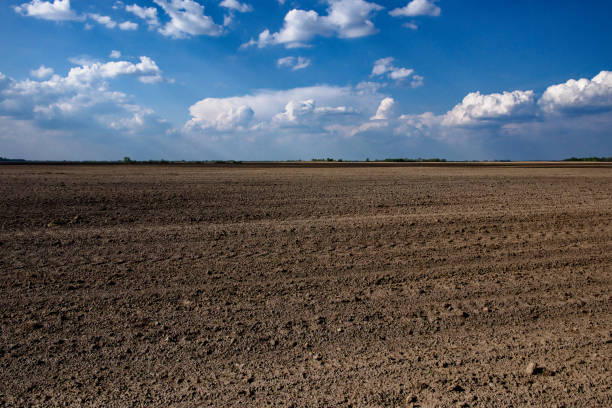 Brown soil of a large, empty farmland and clouds.