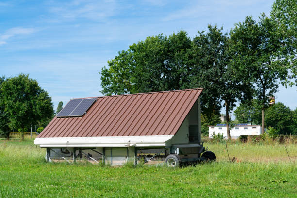 istock Solar-powered chicken coop in field 2161352317