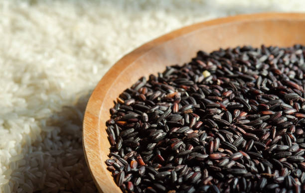 istock Extreme Close-Up Image of Black Glutinous Sticky Rice in Studio Setting 2161352642