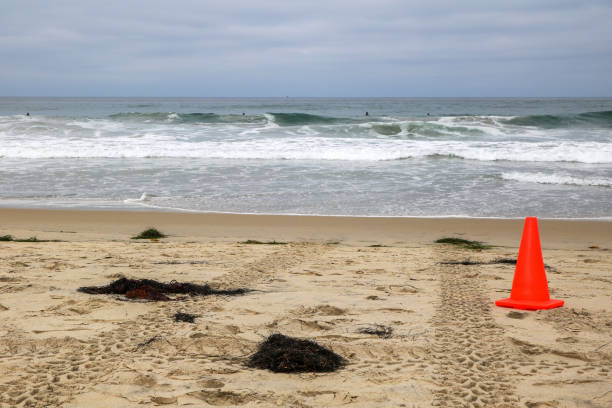 istock Breezy Pacific Beach in early morning, San Diego, CA 2161354821