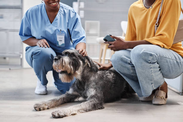 istock Dog by Owner Visiting Doctor for Consultation 2161355104