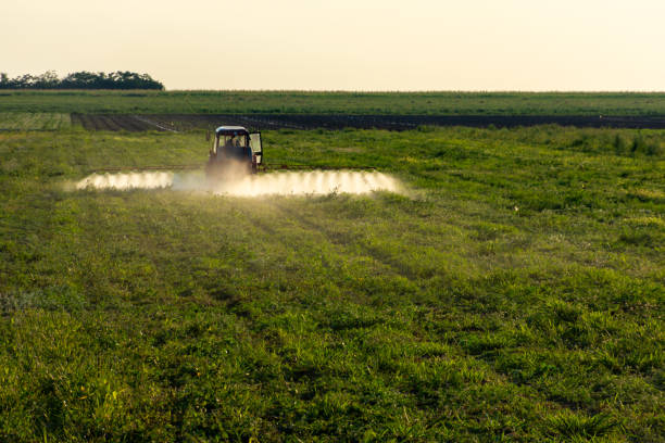 A tractor equipped with large tires is spraying fertilizer on a field. The vehicle moves across the natural landscape, surrounded by trees under the vast sky