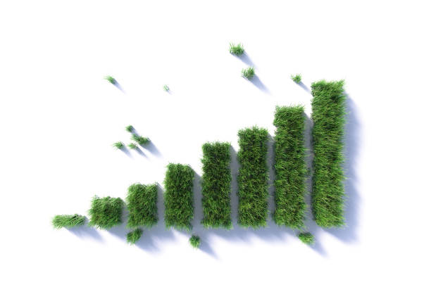 istock Environmental Issues And Sustainability Concept-  Green Bar Graph Made of Green Grass On White Background 2161357759