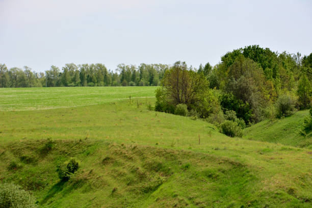 istock a green field on the hill with trees in the background copy space 2161357840