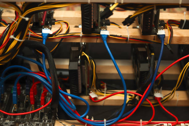 Close-up of network connection plug in data center. Network server background.  Blue and red computer cables, high-tech equipment setup.