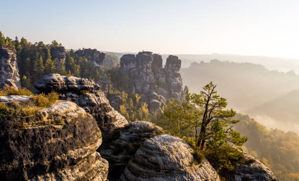 istock Small tree on rocks in Saxon Switzerland 2161361642