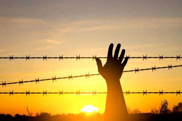 istock Silhouette of hand with barber wire on a sunset 2161362021