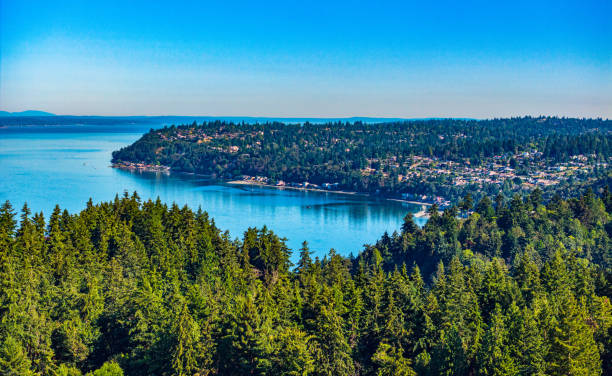 istock Avove Burien Shoreline 2161363565