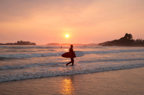 Surfer leaves ocean at sunset, Long Beach, Tofino